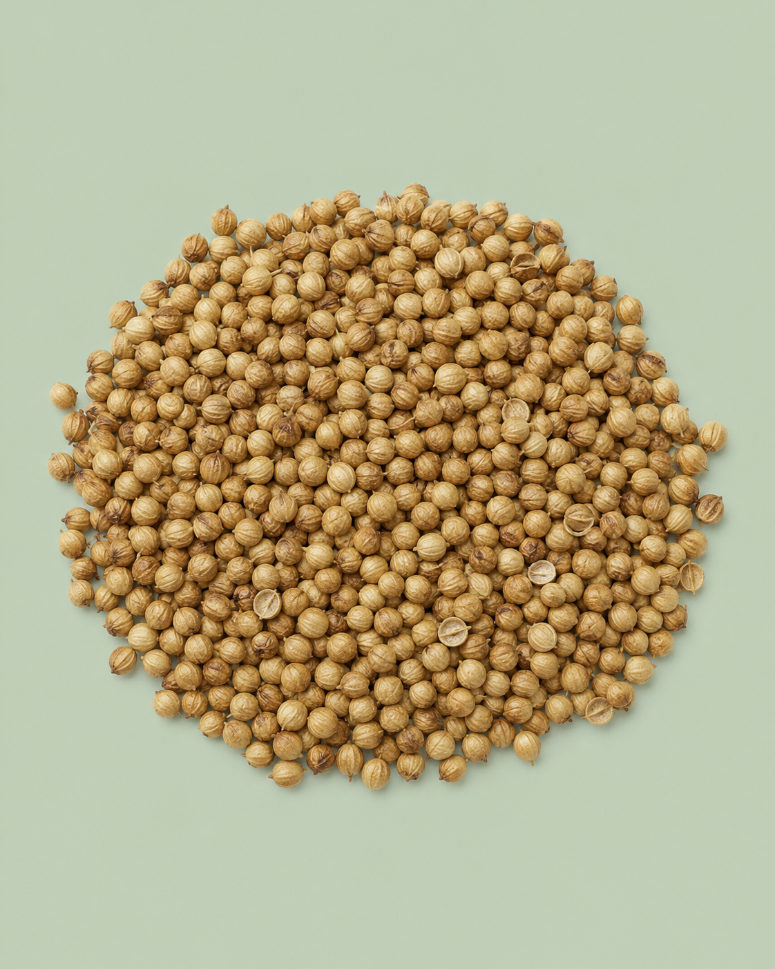 Coriander seeds