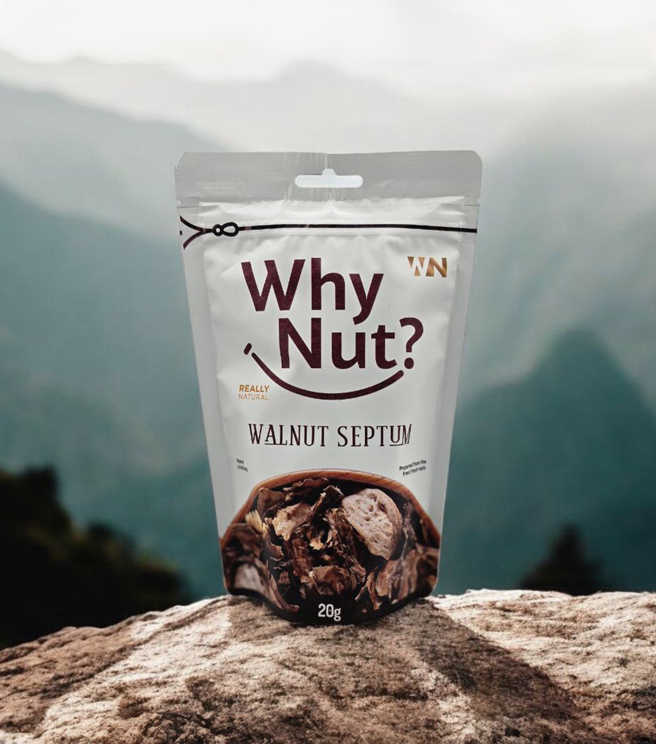 Valnöts skiljeväggar / Valnöts membran